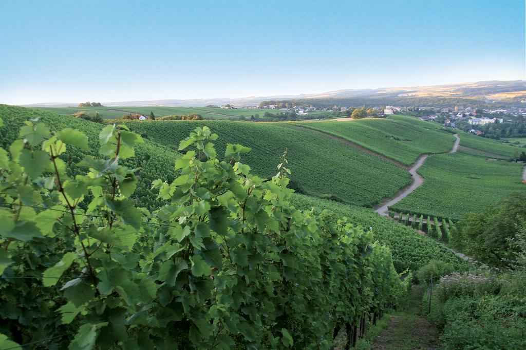 Domaine De La Foret 4*