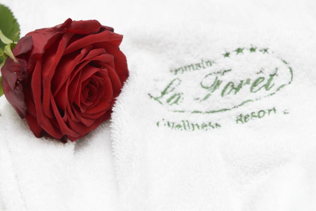 Domaine De La Foret